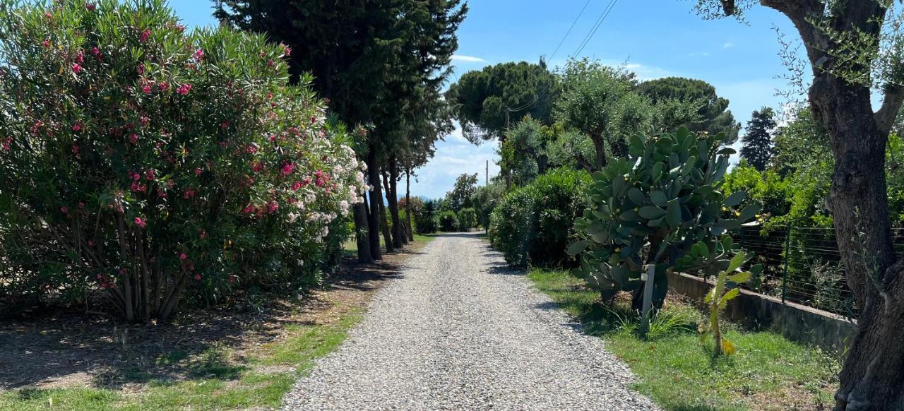 Masseria Brica Rossa Villa Thurii Exteriör bild
